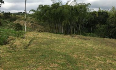 VENTA AMPLIO LOTE DE 10036MTS VIA ALTAGRACIA PEREIRA