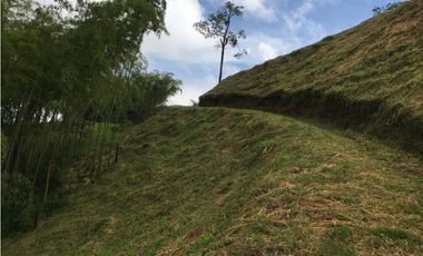 VENTA AMPLIO LOTE DE 10036MTS VIA ALTAGRACIA PEREIRA