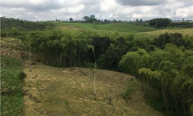 VENTA AMPLIO LOTE DE 10036MTS VIA ALTAGRACIA PEREIRA
