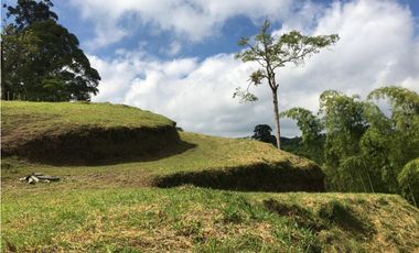 VENTA AMPLIO LOTE DE 10036MTS VIA ALTAGRACIA PEREIRA