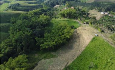 VENTA AMPLIO LOTE DE 10036MTS VIA ALTAGRACIA PEREIRA