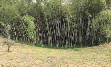 VENTA AMPLIO LOTE DE 10036MTS VIA ALTAGRACIA PEREIRA