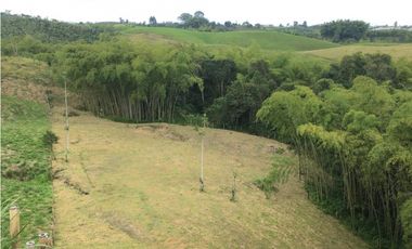 VENTA AMPLIO LOTE DE 10036MTS VIA ALTAGRACIA PEREIRA