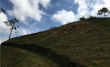 VENTA AMPLIO LOTE DE 10036MTS VIA ALTAGRACIA PEREIRA