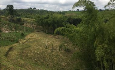 VENTA AMPLIO LOTE DE 10036MTS VIA ALTAGRACIA PEREIRA