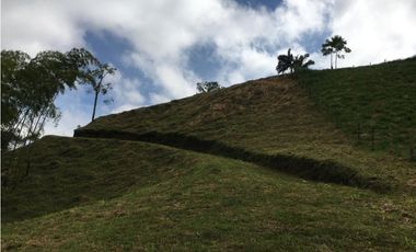 VENTA AMPLIO LOTE DE 10036MTS VIA ALTAGRACIA PEREIRA