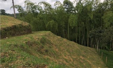 VENTA AMPLIO LOTE DE 10036MTS VIA ALTAGRACIA PEREIRA