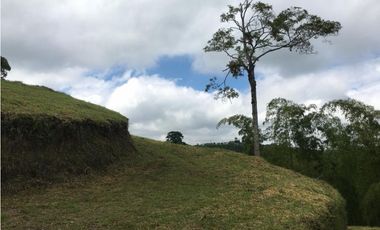 VENTA AMPLIO LOTE DE 10036MTS VIA ALTAGRACIA PEREIRA