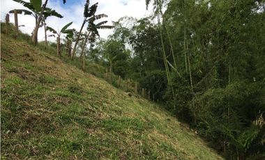 VENTA AMPLIO LOTE DE 10036MTS VIA ALTAGRACIA PEREIRA