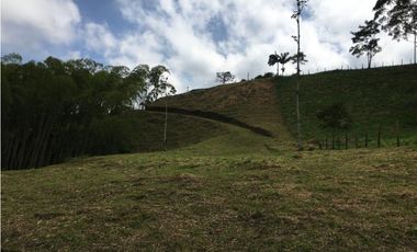 VENTA AMPLIO LOTE DE 10036MTS VIA ALTAGRACIA PEREIRA