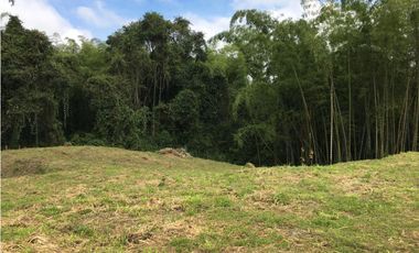 VENTA AMPLIO LOTE DE 10036MTS VIA ALTAGRACIA PEREIRA