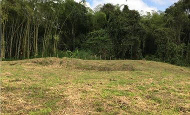 VENTA AMPLIO LOTE DE 10036MTS VIA ALTAGRACIA PEREIRA