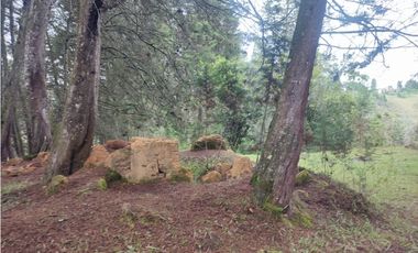 Lote en venta Guarne Antioquia sector vellavista para parcelar 7.6 HA