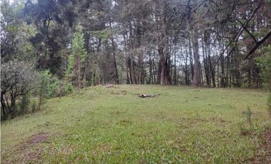 Lote en venta Guarne Antioquia sector vellavista para parcelar 7.6 HA