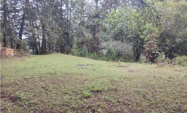 Lote en venta Guarne Antioquia sector vellavista para parcelar 7.6 HA