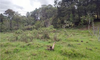 Lote en venta Guarne Antioquia sector vellavista para parcelar 7.6 HA