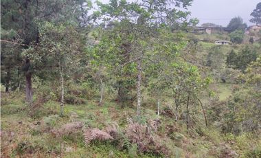 Lote en venta Guarne Antioquia sector vellavista para parcelar 7.6 HA