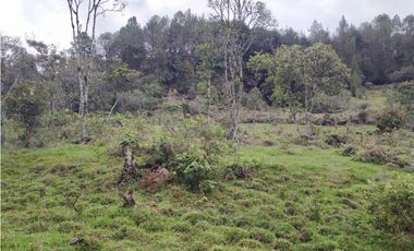 Lote en venta Guarne Antioquia sector vellavista para parcelar 7.6 HA