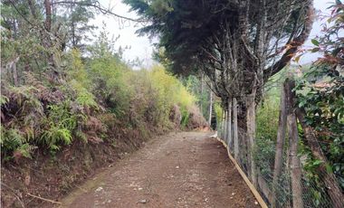 Lote en venta Guarne Antioquia sector vellavista para parcelar 7.6 HA