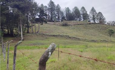 Lote en venta Guarne Antioquia sector vellavista para parcelar 7.6 HA