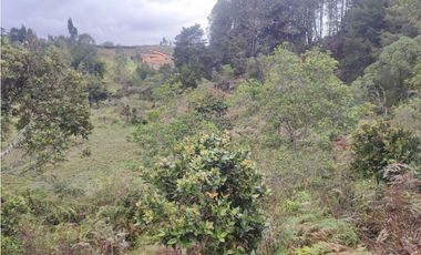 Lote en venta Guarne Antioquia sector vellavista para parcelar 7.6 HA