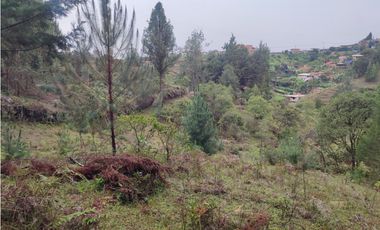 Lote en venta Guarne Antioquia sector vellavista para parcelar 7.6 HA