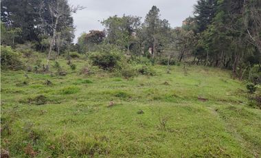 Lote en venta Guarne Antioquia sector vellavista para parcelar 7.6 HA