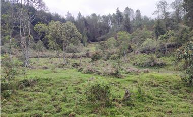 Lote en venta Guarne Antioquia sector vellavista para parcelar 7.6 HA