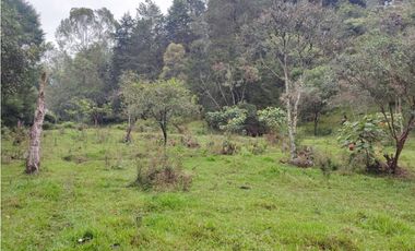 Lote en venta Guarne Antioquia sector vellavista para parcelar 7.6 HA