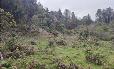 Lote en venta Guarne Antioquia sector vellavista para parcelar 7.6 HA