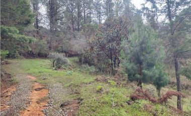 Lote en venta Guarne Antioquia sector vellavista para parcelar 7.6 HA