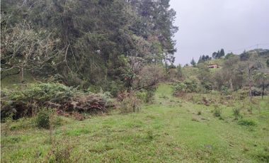 Lote en venta Guarne Antioquia sector vellavista para parcelar 7.6 HA