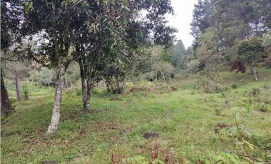 Lote en venta Guarne Antioquia sector vellavista para parcelar 7.6 HA
