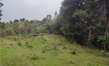 Lote en venta Guarne Antioquia sector vellavista para parcelar 7.6 HA
