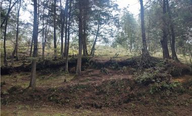 Lote en venta Guarne Antioquia sector vellavista para parcelar 7.6 HA