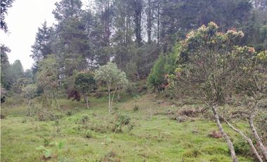 Lote en venta Guarne Antioquia sector vellavista para parcelar 7.6 HA