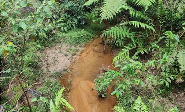 Lote en venta Guarne Antioquia sector vellavista para parcelar 7.6 HA