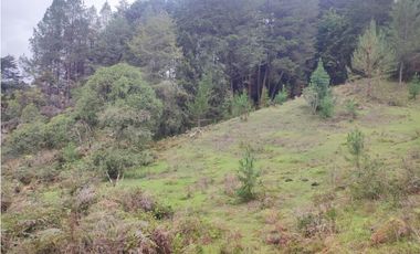 Lote en venta Guarne Antioquia sector vellavista para parcelar 7.6 HA