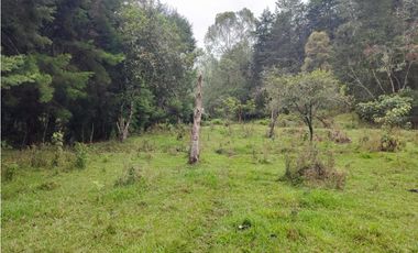 Lote en venta Guarne Antioquia sector vellavista para parcelar 7.6 HA