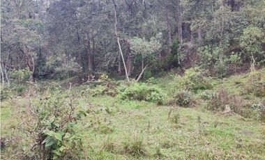 Lote en venta Guarne Antioquia sector vellavista para parcelar 7.6 HA