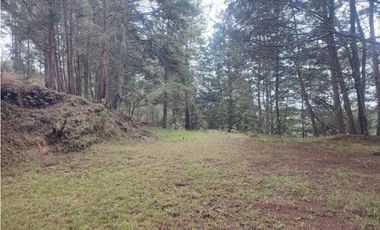 Lote en venta Guarne Antioquia sector vellavista para parcelar 7.6 HA