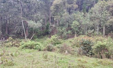 Lote en venta Guarne Antioquia sector vellavista para parcelar 7.6 HA