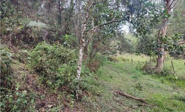 Lote en venta Guarne Antioquia sector vellavista para parcelar 7.6 HA