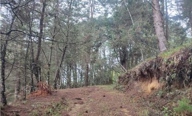 Lote en venta Guarne Antioquia sector vellavista para parcelar 7.6 HA