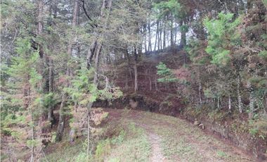 Lote en venta Guarne Antioquia sector vellavista para parcelar 7.6 HA