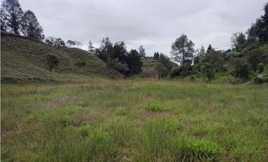 Lote en venta Guarne Antioquia sector vellavista para parcelar 7.6 HA