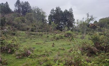 Lote en venta Guarne Antioquia sector vellavista para parcelar 7.6 HA