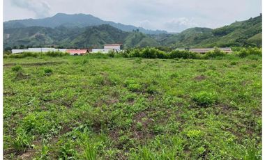 Lote en venta en Combia - Pereira