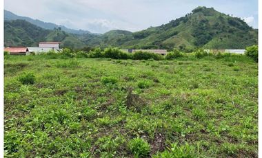 Lote en venta en Combia - Pereira