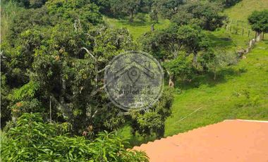 Venta de Finca en Santa Bárbara Antioquia - vereda Don Santos